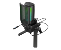 Mikrofon Genesis Radium 250 Czarny
